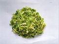 dehydrated cabbage flake10*10mm 15*15mm