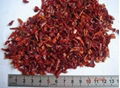 dehydrated red bell pepper grain 3*3mm