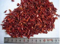 dehydrated red bell pepper grain 3*3mm 