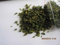 dehydrated green bell pepper flake 3*3mm 1