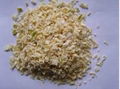 dehydrated withe onion granule3*3mm5*5mm10*10mm 2