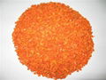 dehydrated carrot  1