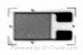 Strain Gauge 1