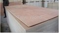 China supplier for Commercial Plywoods