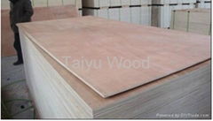 China supplier for Commercial Plywoods 