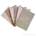 China supplier for Fancy Plywoods  1