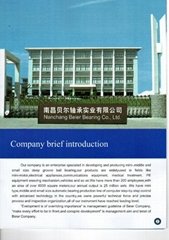 Nanchang Beier Bearing Co.,Ltd