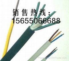 氟塑料控制电缆