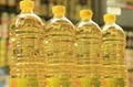 sunflower oil 1