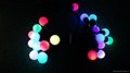 LED 珍珠泡壳灯串 2
