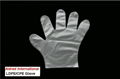 Exam Gloves 4