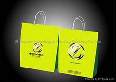 Shopping paper bag 