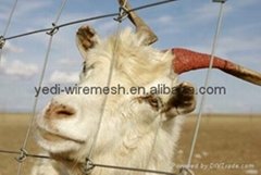 Anping Hog wire fence (Factory)
