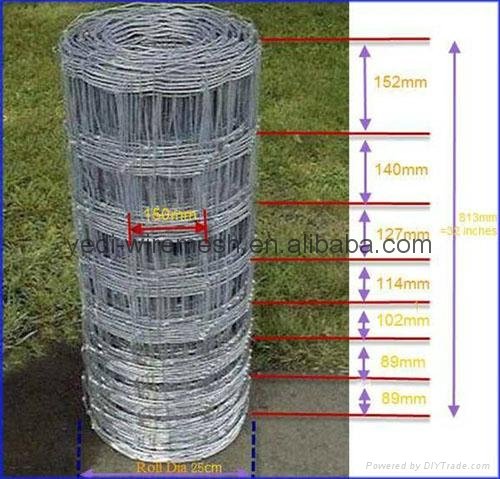 Anping Hog wire fence (Factory) 3