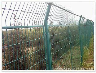 Wire mesh fense