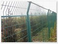 Wire mesh fense
