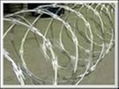 Barbed wire 4