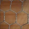 Hexagonal wire mesh