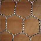 Hexagonal wire mesh