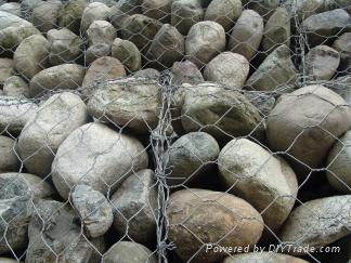 Hexagonal wire mesh 4