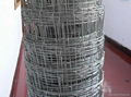 High quality galvanized cattle fence 4