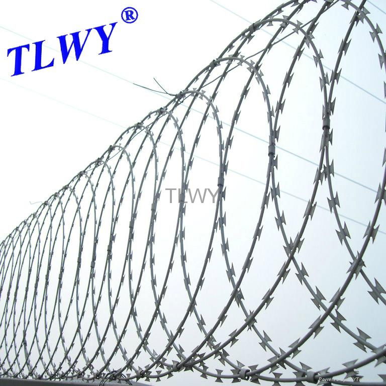 galvanized concertina razor barbed wire 5