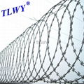 galvanized concertina razor wire fence 4