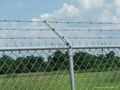 barbed wire fence 2