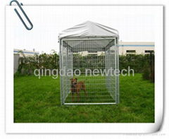 metal dog cage 