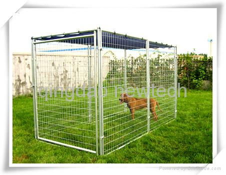 metal dog cage  2