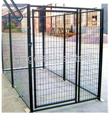 metal dog cage  3