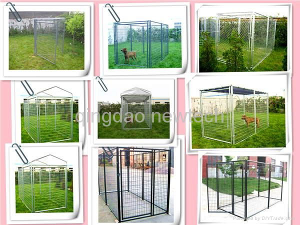 metal dog cage  4