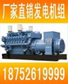 国产进口柴油发电机组 功率范围10-3000KW 1