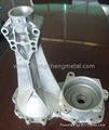 Aluminium Die Casting 4