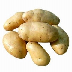 potato