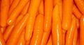 carrot