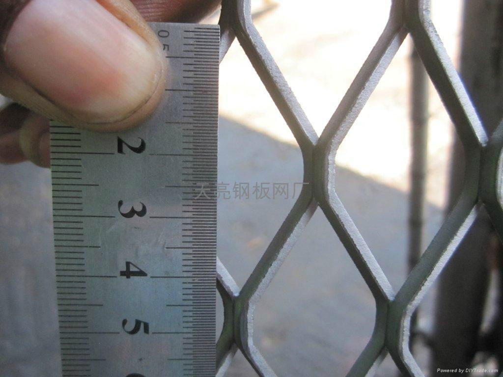 Galvanized steel nets 3