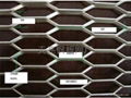 hexagonal wire mesh 1