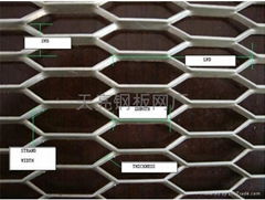 hexagonal wire mesh