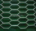 hexagonal wire mesh 3