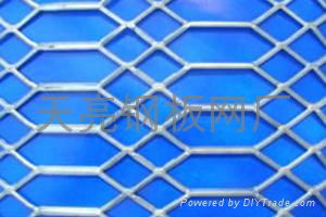 Stainless steel nets 4