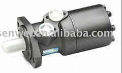 hydraulic motor