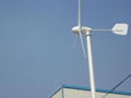 1000W Wind Power Generator 3