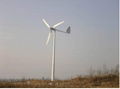 2000w Wind power generator 1