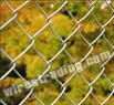 Chain Link Fence 3