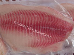 Tilapia Fillet