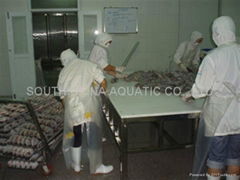 South China Aquatic Co., Limited