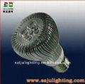 20w LED Par30 light