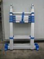 telescopic ladder