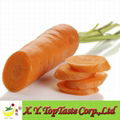 2011 fresh preserved carrots 1